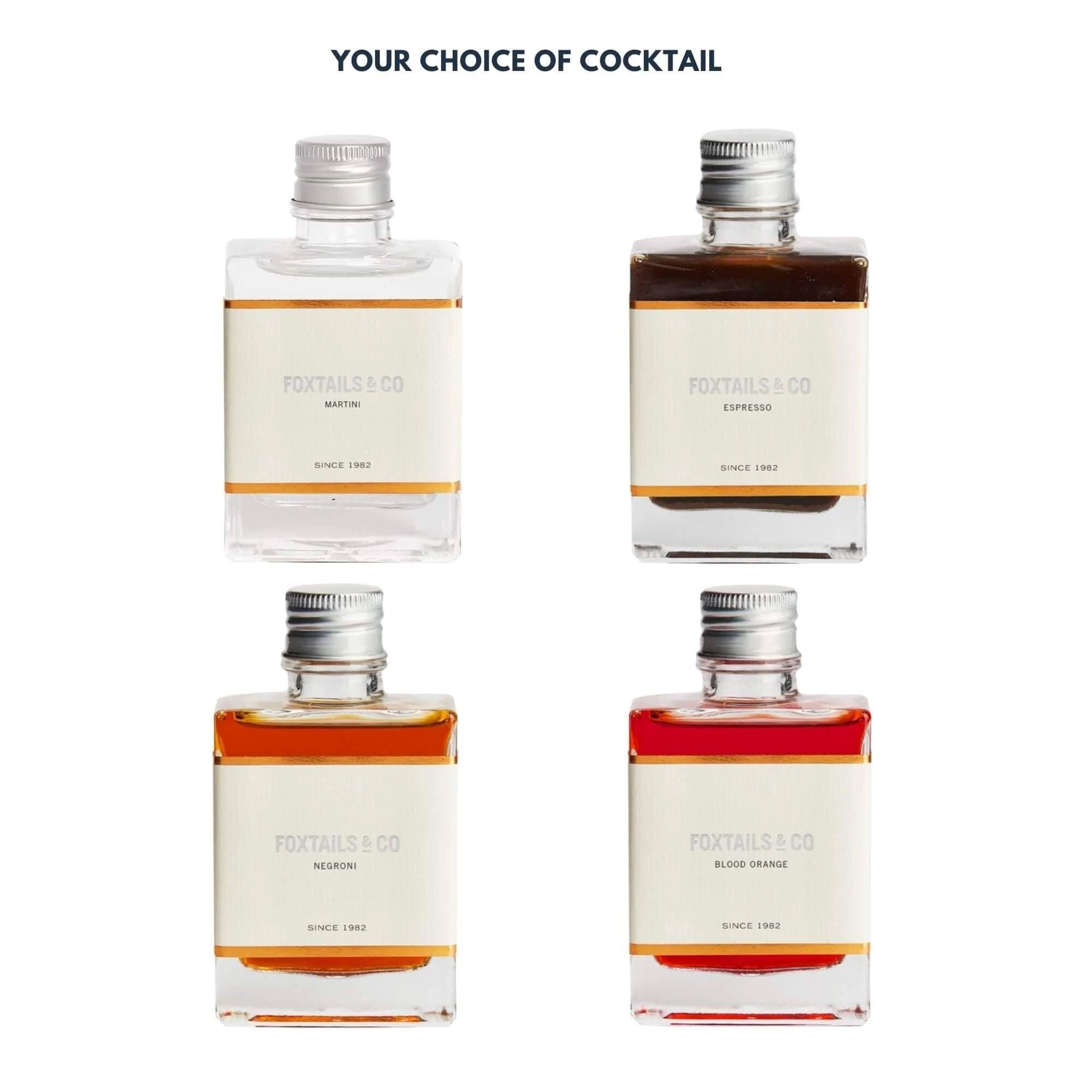 Guitar Cocktail Gift Set