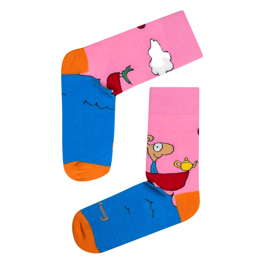 Michael Leunig Boat Pink Socks